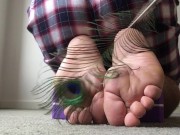 Preview 6 of Peacock feather is such a pretty bird feather for tickling my feet