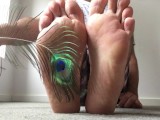 Peacock feather is such a pretty bird feather for tickling my feet