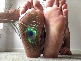 Peacock Feather is such a Pretty Bird Feather for Tickling my Feet