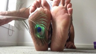 La pluma de pavo real es una pluma de pájaro tan bonita para hacer cosquillas en mis pies