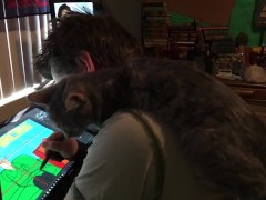 Pussy likes to watch...