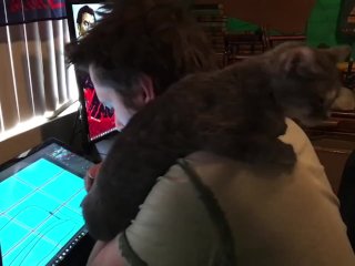 Pussy likes to watch...