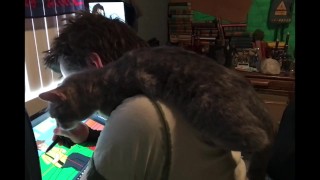 Pussy likes to watch...