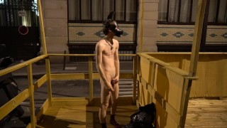 淘气的小狗戴维在公共场合裸体