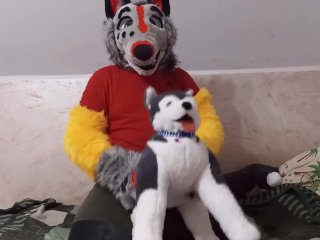 🐺Dog and Freddy Wolf Fun#1🐺