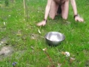 Preview 3 of Slut Fox is tied with a rope like a wild animal and eats raw meat