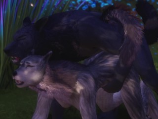 Rahn the Wolf Des Nœuds Anaux et Cums à L’intérieur De La Wolf Féminine / Furries De La Vie Sauvage