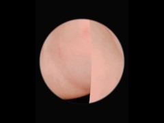 Artificially Inseminating Myself  - Screenshot 3 of 16 - Hairy Pussy