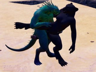 Furry kitty and the alien dragon  Wild life