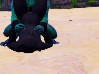 Furry kitty and the alien dragon  Wild life