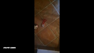 ФЕМДОМ: КАСТРАЦИЯ