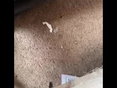 Three hours of edging leads to a huge come shot