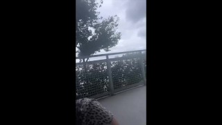 In Der Öffentlichkeit Auf Dem Balkon In Miami Einen Schwanz Lutschen