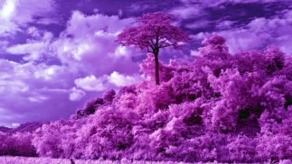 Управляемая релаксационная медитация 