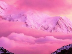 Mindful Breathing Meditation 