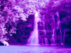 9 Minute Guided Gratitude Meditation (Audio Only)