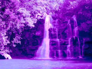 9 Minute Guided Gratitude Meditation (Audio Only)