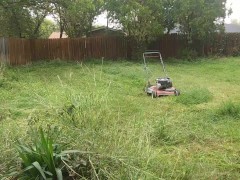 How to cunt grass