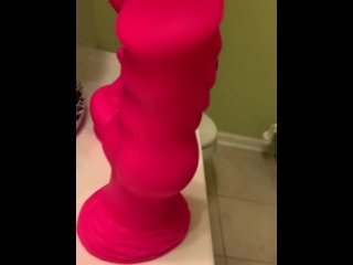 Which one should I put in my pussy first?