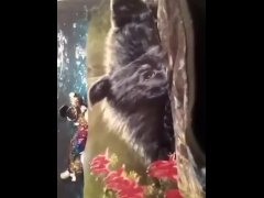 Omg!! Where did she get that thing! Perfect glowing pussy shot!