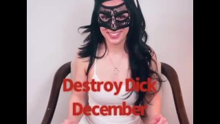 破壊ディック12月拒否12月の発表