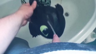 Дракон "Беззубик 3" Писает 1