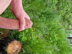Bold Public Park Performance: Huge Dick Masturbates Outdoors