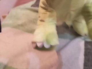 Green dinosur Peeing#1