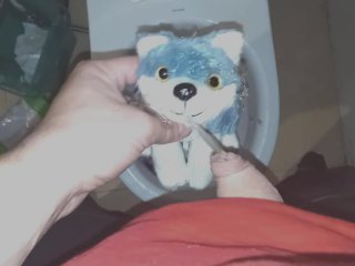 Blue wolf Peeing#1