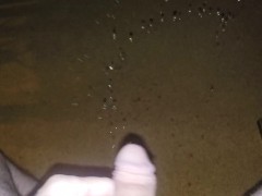 Bathroom full. Couldn't hold it. Squirted some piss on the floor.