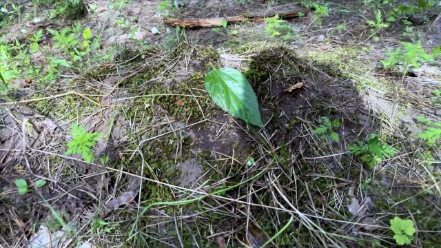 My best Pee Video - Closeup, Slow Motion, Public Peeing Video Compilation