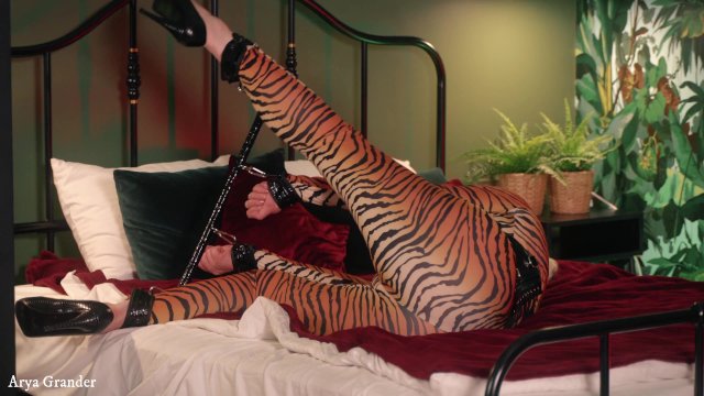 Watch Bondage Video:Submissive MILF in Spandex