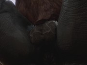 Preview 6 of Minotaur Cums A LOT From Being Fucked by Rhino (Gulhragg) | Wild Life Furry