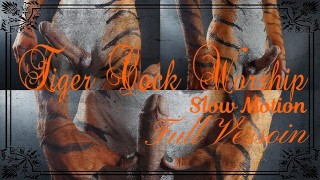 Tiger Cock Worship Full Version