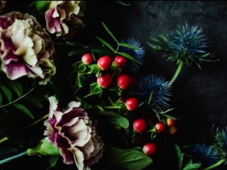 Christmas at Aoife's - erotic audio by Eve's Garden [erotic audio][Irish accent][blowjob][fun][xmas]