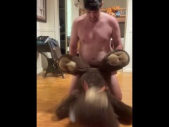 Pathetic Cow humping stuffy