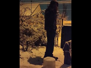 Winter night in the yard