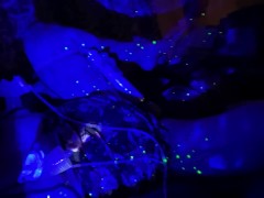 Lifestyle Slave Hucow Bound Milked and Vibed in Starry Skies