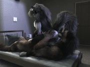 Preview 2 of H0rs3 Loona werewolf party