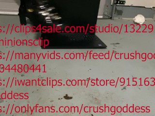 топающий ноутбук в сексуальных сапогах