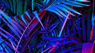 Ежедневное обновление (ведение дневника)