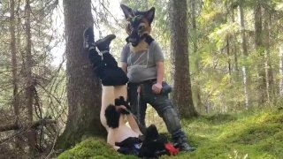 Murrsuiter bebe su propia orina en el bosque y su amigo también le da una
