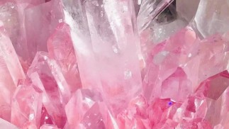 Заслуживает большего, чем просто опыт из вторых рук (управляемый дневник)