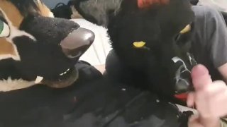 Murrsuiter Stomps On My Wolf's Muzzle Three Times