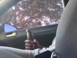 masturbating in car, masturbation, solo male, big black cock