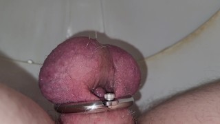 Using A Flat Metal Chastity Cage To Urinate