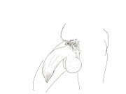 Preview 3 of Let’s draw a big black uncut cock.