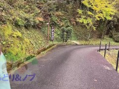 観光地でおっぱいを露出する美人日本人女性 Vol.2 - Screenshot 13 of 16 - Petite