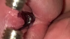 Gay sounding