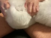 Cum with white fur